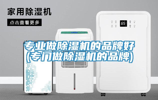 专业做除湿机的品牌好(专门做除湿机的品牌)