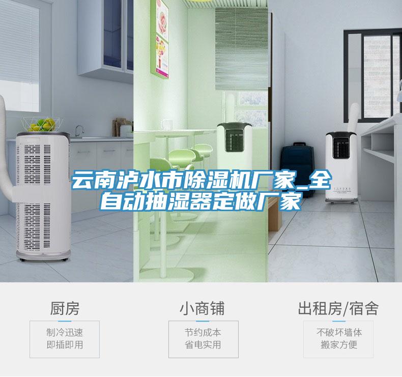 云南泸水市除湿机厂家_全自动抽湿器定做厂家