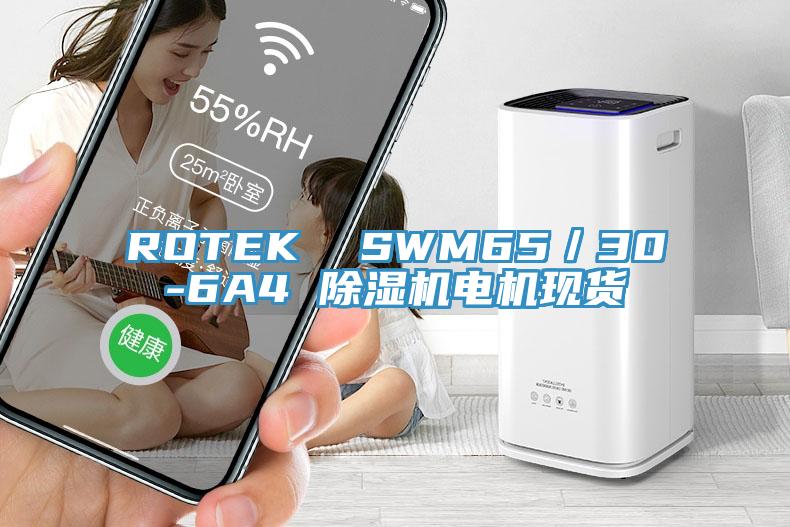 ROTEK  SWM65／30-6A4 除湿机电机现货
