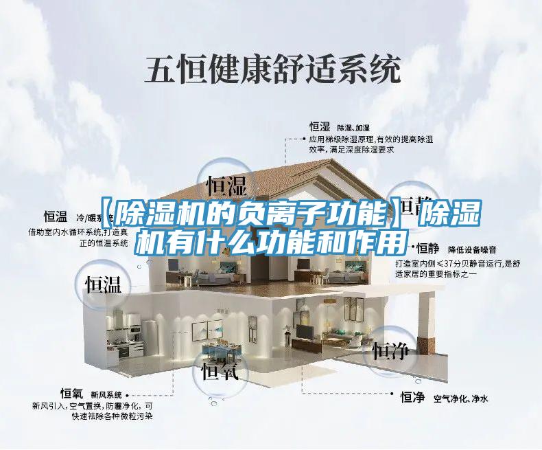 【除湿机的负离子功能】除湿机有什么功能和作用