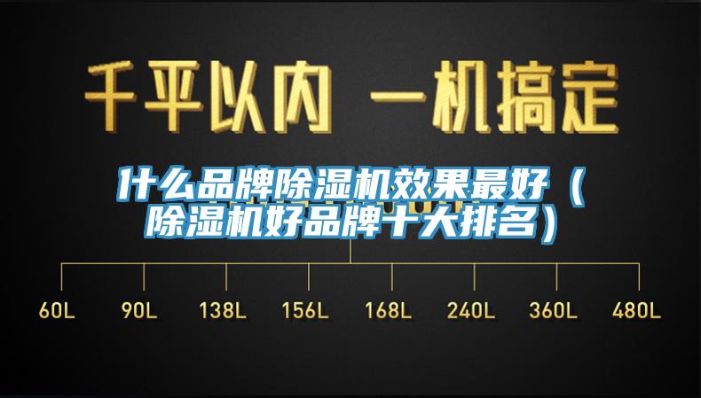 什么品牌除湿机效果最好（除湿机好品牌十大排名）