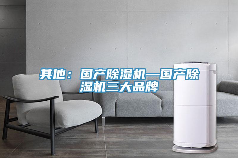 其他：国产除湿机—国产除湿机三大品牌