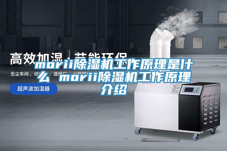 morii除湿机工作原理是什么 morii除湿机工作原理介绍
