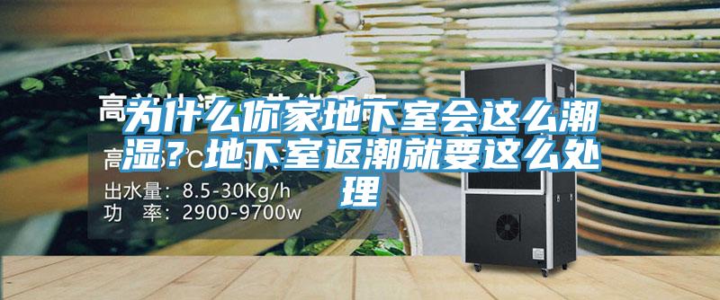 为什么你家地下室会这么潮湿？地下室返潮就要这么处理