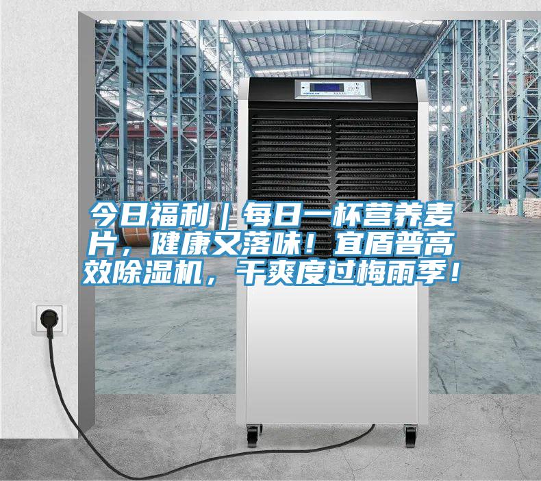 今日福利｜每日一杯营养麦片，健康又落味！宜盾普高效除湿机，干爽度过梅雨季！