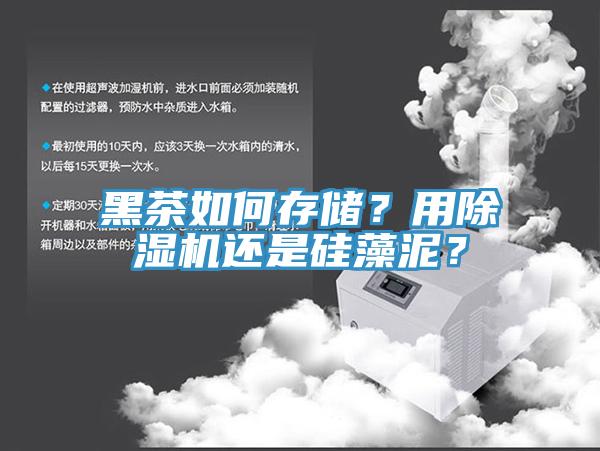 黑茶如何存储？用除湿机还是硅藻泥？