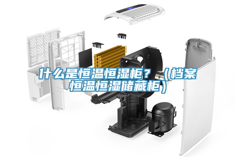 什么是恒温恒湿柜？（档案恒温恒湿储藏柜）