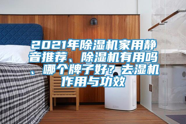 2021年除湿机家用静音推荐、除湿机有用吗、哪个牌子好？去湿机作用与功效