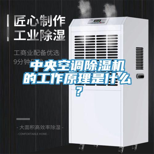 中央空调除湿机的工作原理是什么？