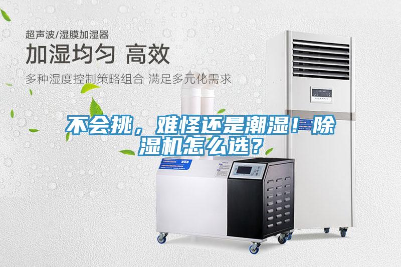 不会挑，难怪还是潮湿！除湿机怎么选？