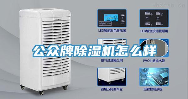 公众牌除湿机怎么样
