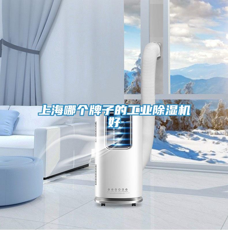 上海哪个牌子的工业除湿机好
