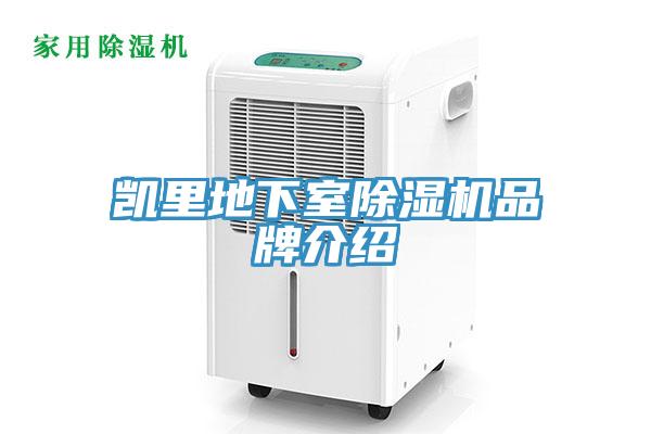 凯里地下室除湿机品牌介绍
