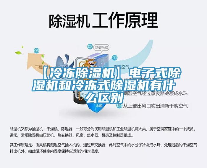 【冷冻除湿机】电子式除湿机和冷冻式除湿机有什么区别
