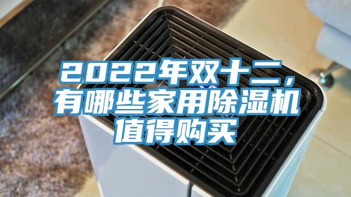 2022年双十二，有哪些家用除湿机值得购买