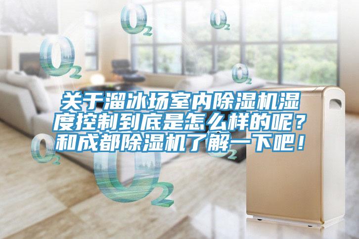 关于溜冰场室内除湿机湿度控制到底是怎么样的呢？和成都除湿机了解一下吧！