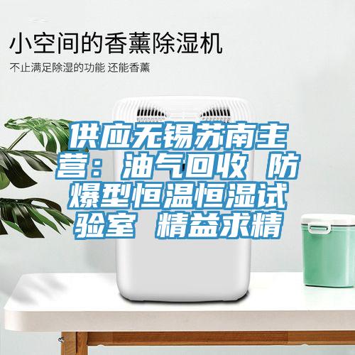 供应无锡苏南主营：油气回收 防爆型恒温恒湿试验室 精益求精