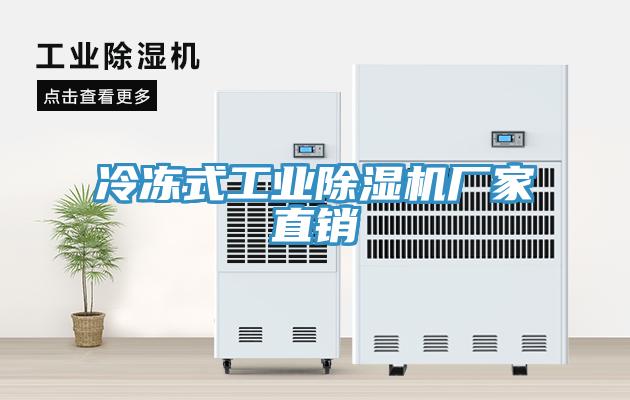 冷冻式工业除湿机厂家直销
