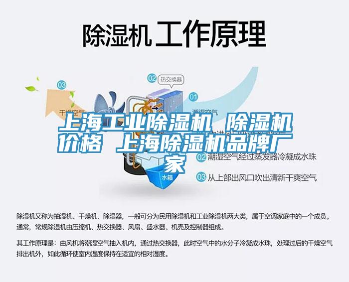 上海工业除湿机 除湿机价格 上海除湿机品牌厂家