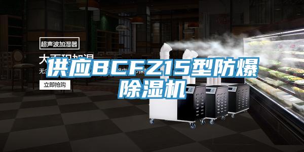 供应BCFZ15型防爆除湿机