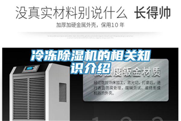 冷冻除湿机的相关知识介绍