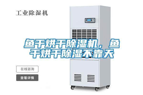 鱼干烘干除湿机，鱼干烘干除湿不靠天