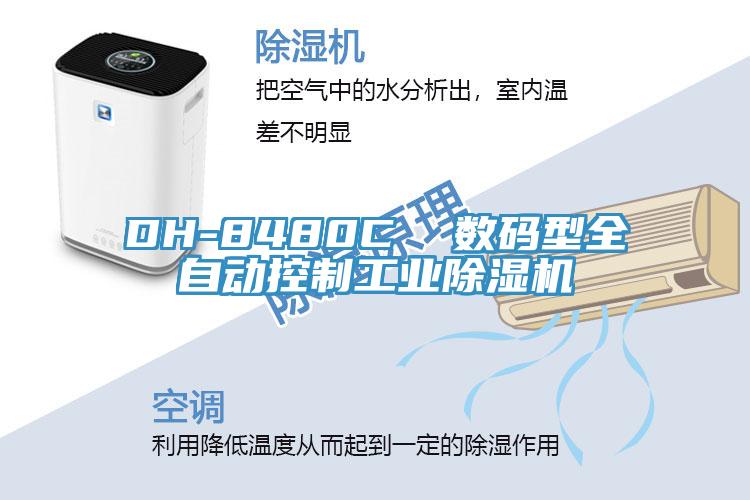 DH-8480C  数码型全自动控制工业除湿机