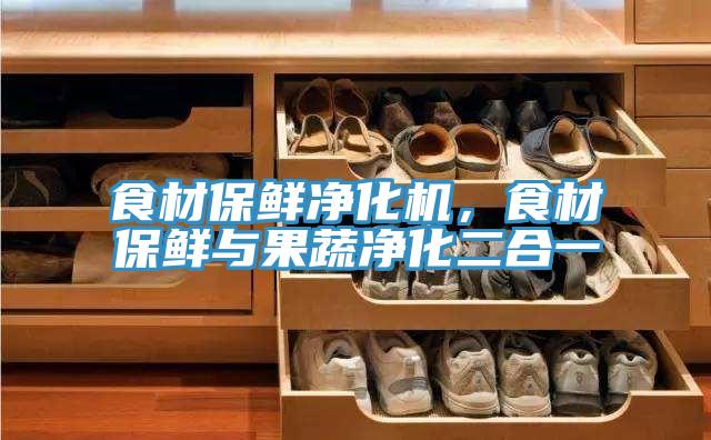 食材保鲜净化机，食材保鲜与果蔬净化二合一