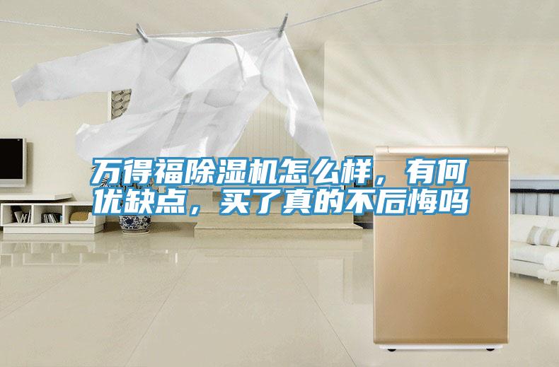万得福除湿机怎么样，有何优缺点，买了真的不后悔吗
