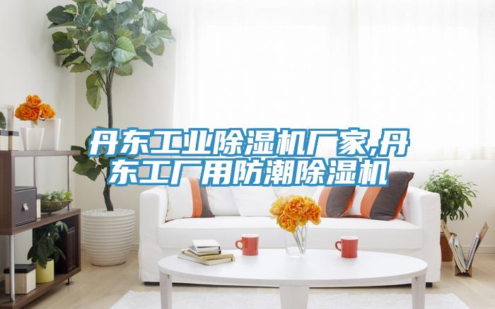 丹东工业除湿机厂家,丹东工厂用防潮除湿机