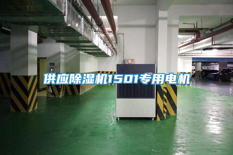 供应除湿机1501专用电机