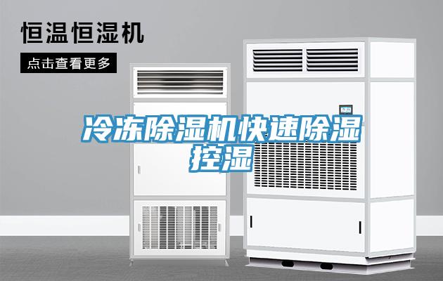 冷冻除湿机快速除湿控湿
