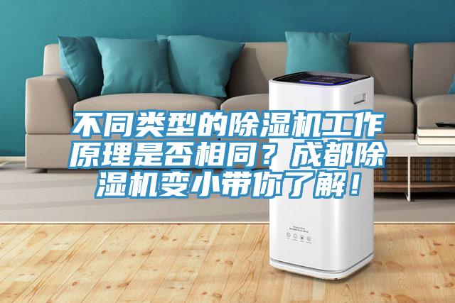 不同类型的除湿机工作原理是否相同？成都除湿机变小带你了解！