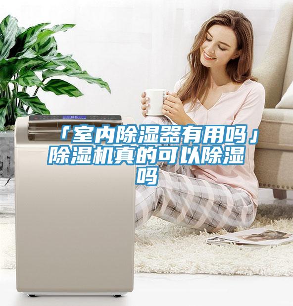 「室内除湿器有用吗」除湿机真的可以除湿吗