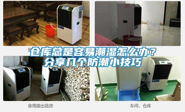 仓库总是容易潮湿怎么办？分享几个防潮小技巧