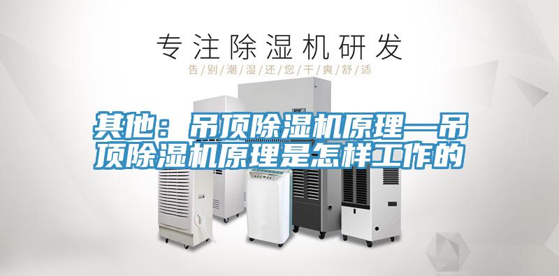 其他：吊顶除湿机原理—吊顶除湿机原理是怎样工作的