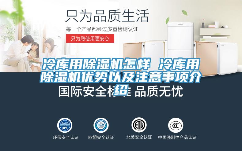冷库用除湿机怎样 冷库用除湿机优势以及注意事项介绍