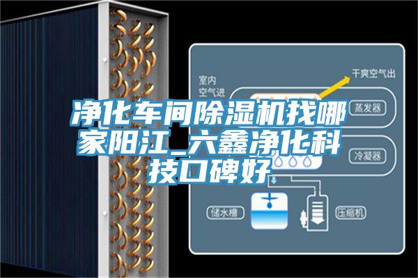 净化车间除湿机找哪家阳江_六鑫净化科技口碑好