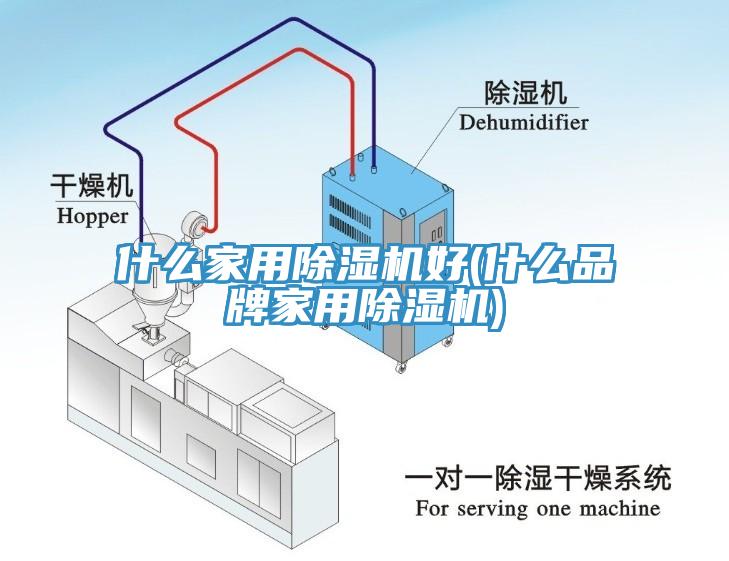 什么家用除湿机好(什么品牌家用除湿机)