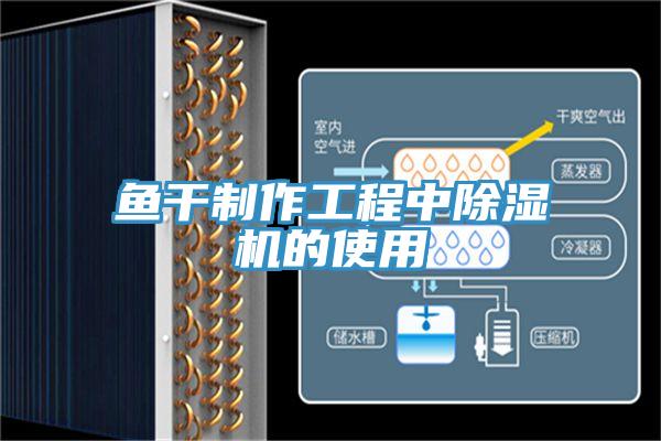 鱼干制作工程中除湿机的使用