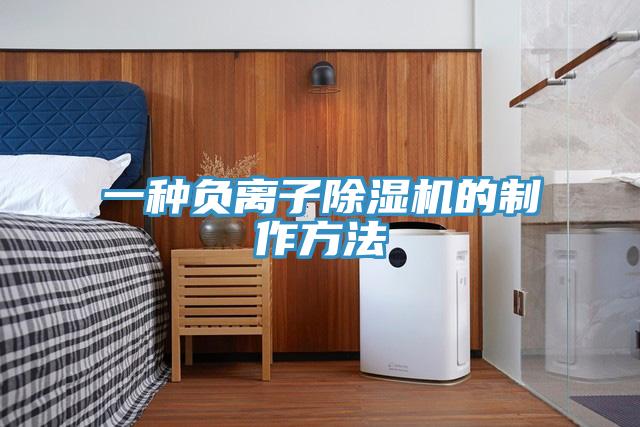 一种负离子除湿机的制作方法