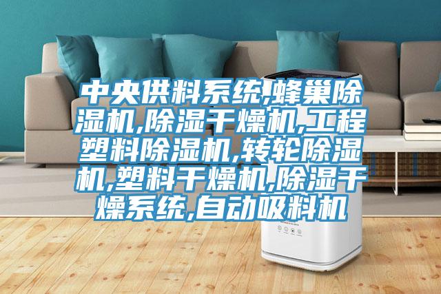 中央供料系统,蜂巢除湿机,除湿干燥机,工程塑料除湿机,转轮除湿机,塑料干燥机,除湿干燥系统,自动吸料机