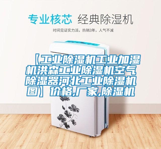 【工业除湿机工业加湿机洪森工业除湿机空气除湿器河北工业除湿机图】价格,厂家,除湿机