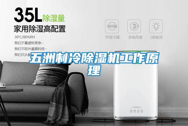 五洲制冷除湿机工作原理