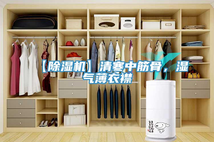 【除湿机】清寒中筋骨，湿气薄衣襟