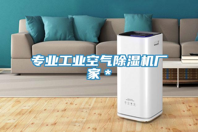 专业工业空气除湿机厂家＊