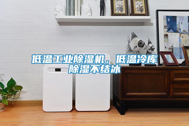 低温工业除湿机，低温冷库除湿不结冰