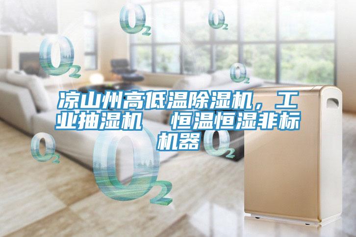 凉山州高低温除湿机，工业抽湿机  恒温恒湿非标机器