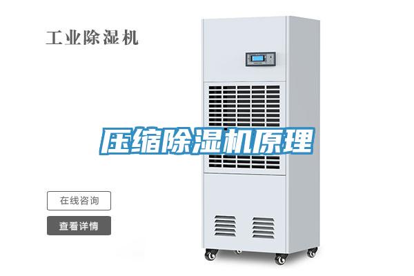 压缩除湿机原理