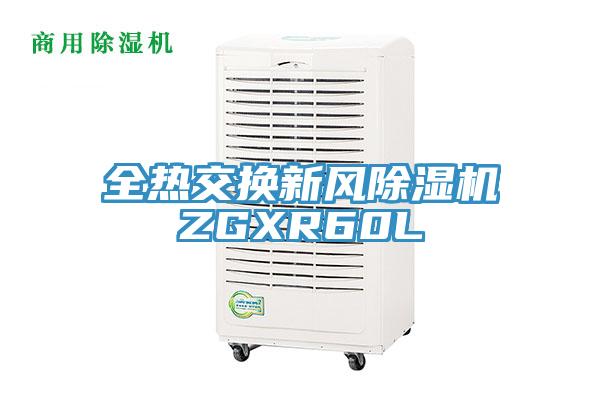 全热交换新风除湿机ZGXR60L